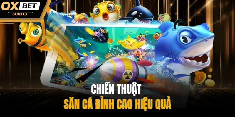 Chiến thuật săn cá đỉnh cao hiệu quả