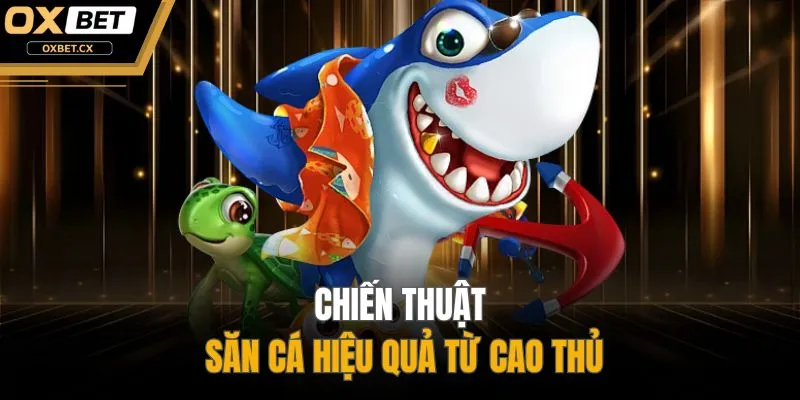 Chiến thuật săn cá hiệu quả từ cao thủ