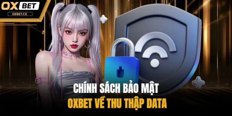 Chính sách bảo mật OXBET về thu thập data