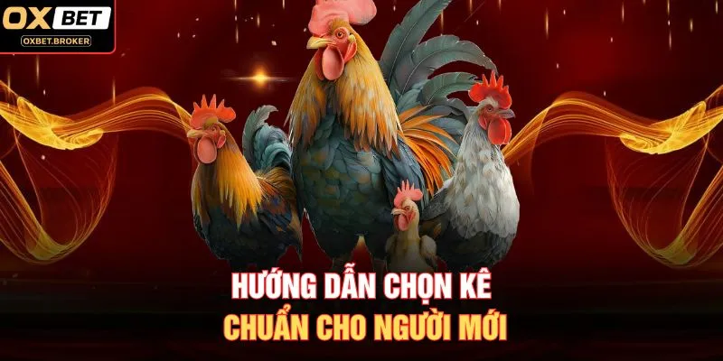 Hướng dẫn chọn kê chuẩn cho người mới