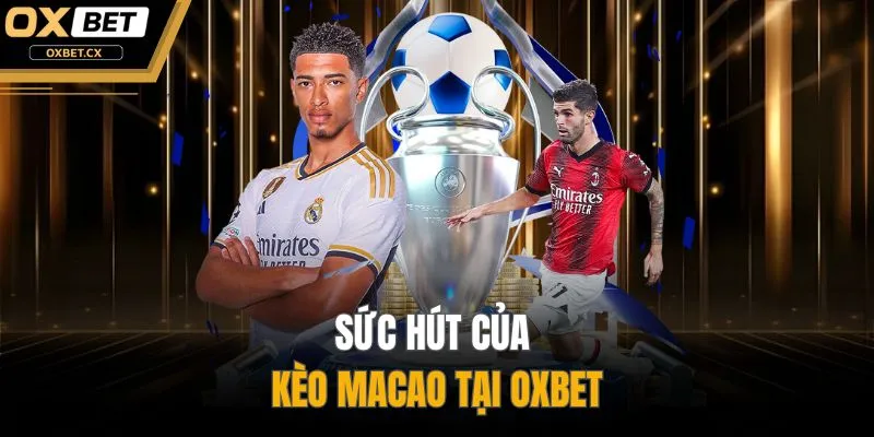 Sức hút của kèo Macao tại OXBET